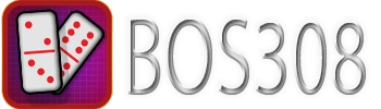 BOS308